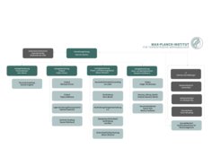 Organigramm Verwaltung & Infrastruktur